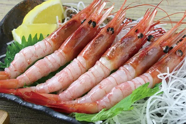 越前の甘エビ