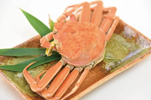 越前がにの茹でがに