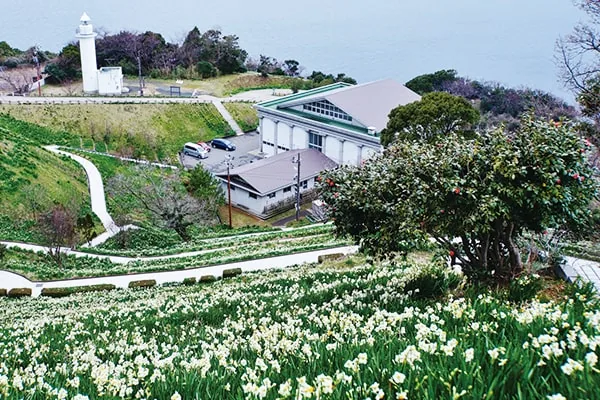 越前岬水仙ランド